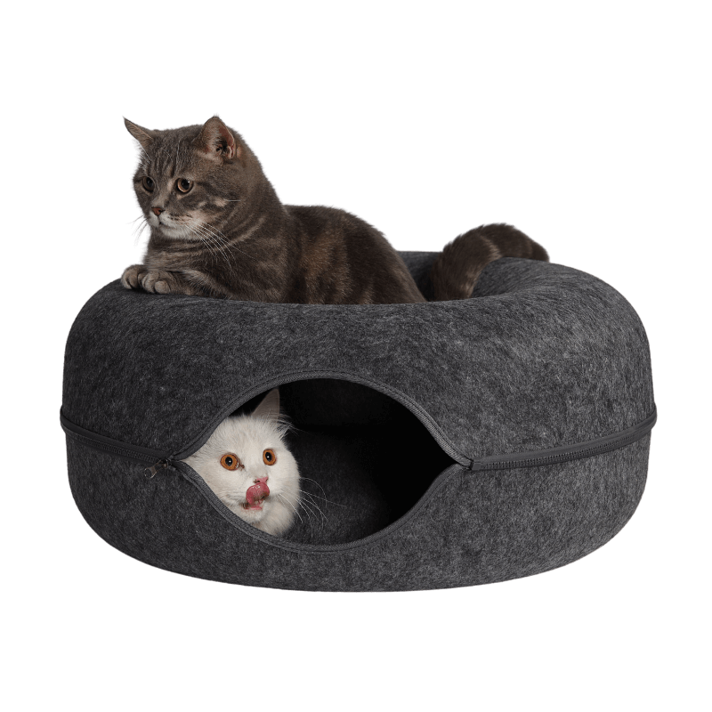 Charcoal Dark Grey