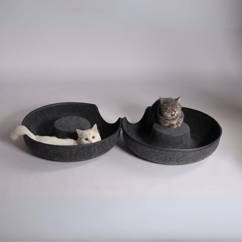 Charcoal Dark Grey
