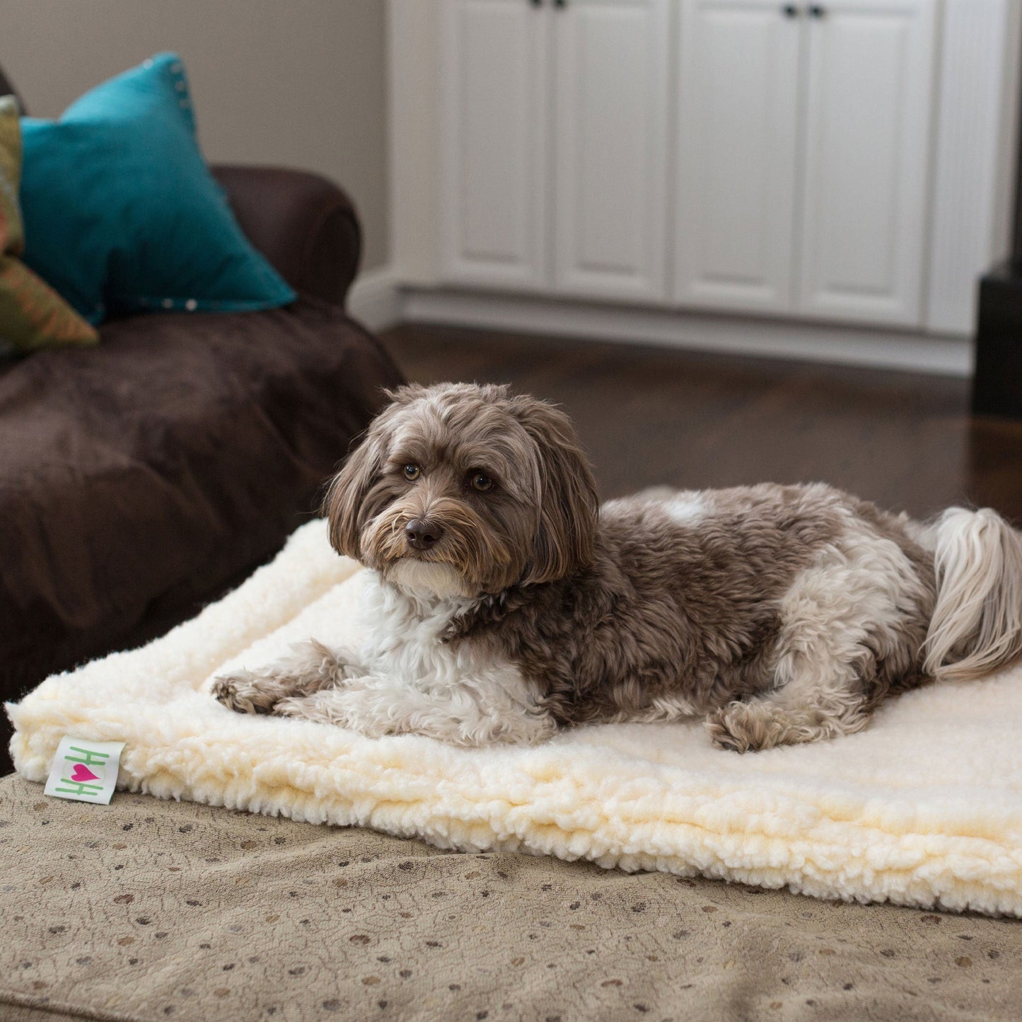 ElaPaw Mat Cat & Dog Bed