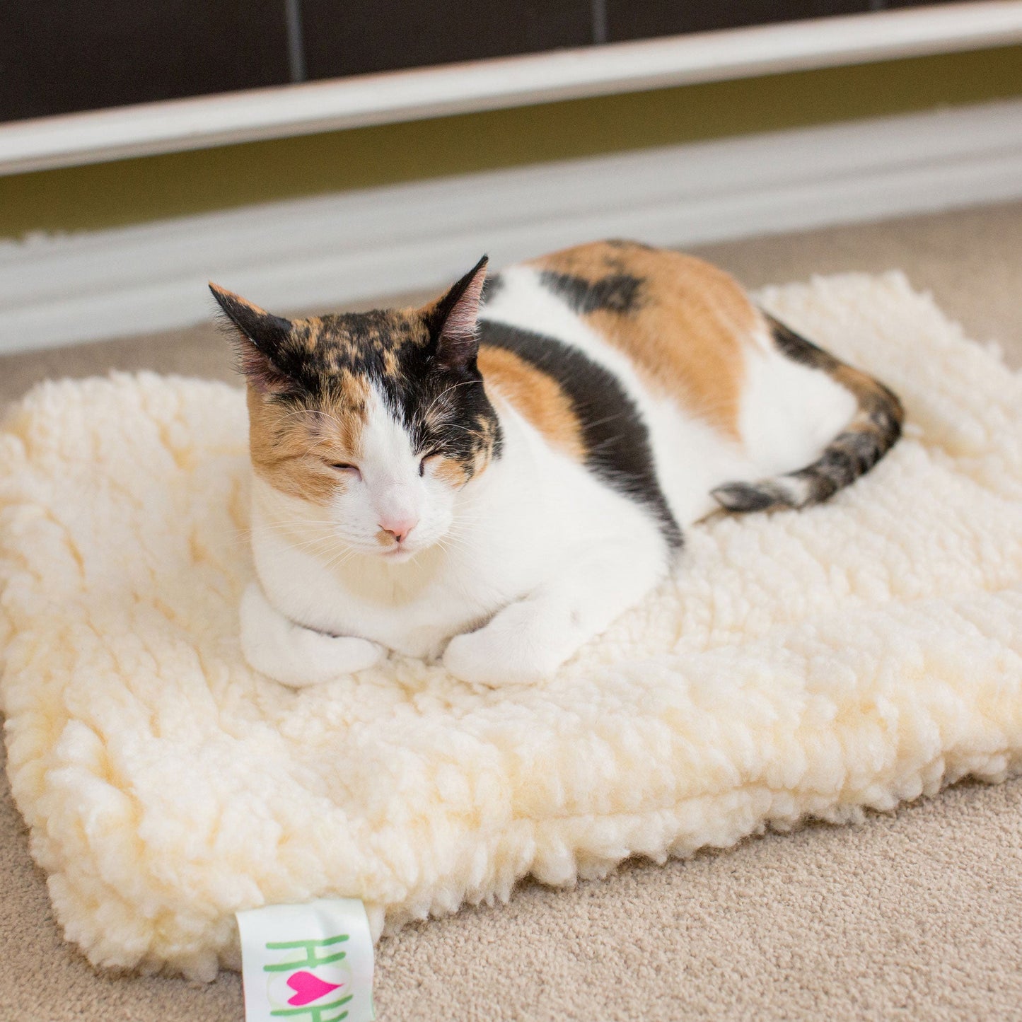 ElaPaw Mat Cat & Dog Bed