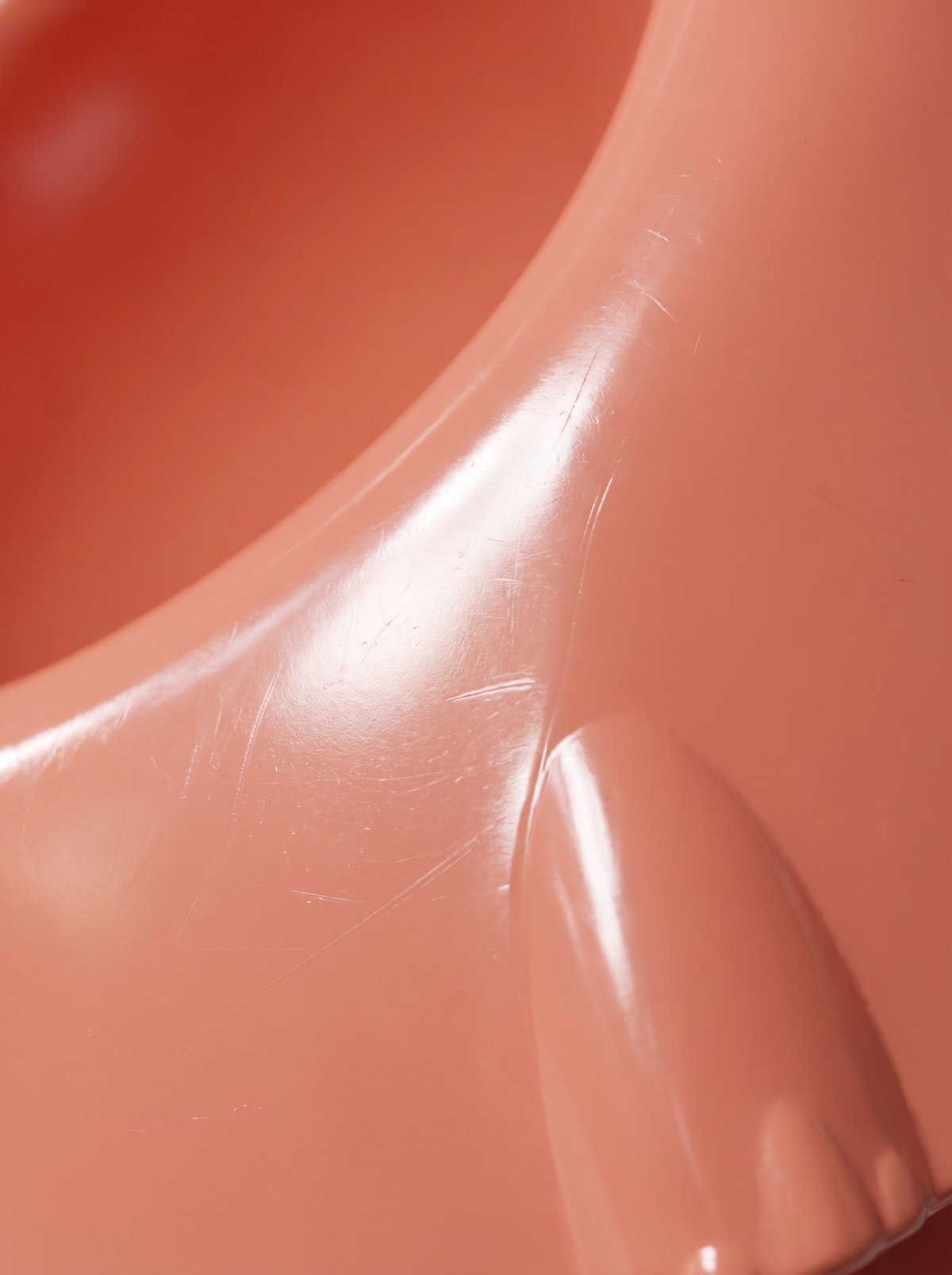 Ergonomic Raised Pet Bowl image with text 1