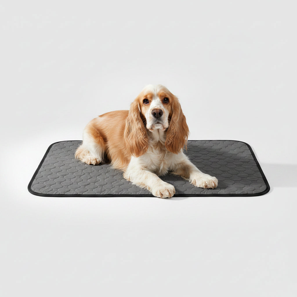 Washable Training Pee Pads for Dogs & Cats 2pc